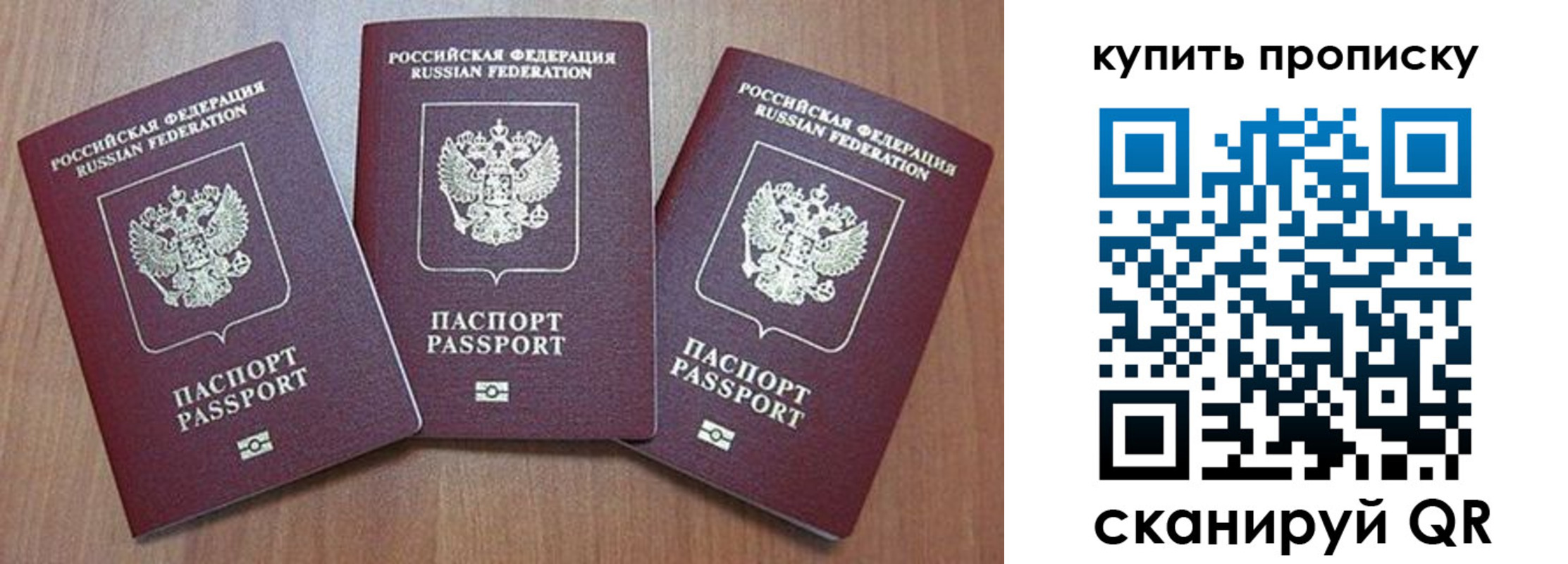 где прописаться в Кировске